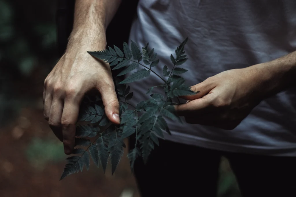 德國必邦成分