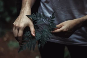 德國必邦成分